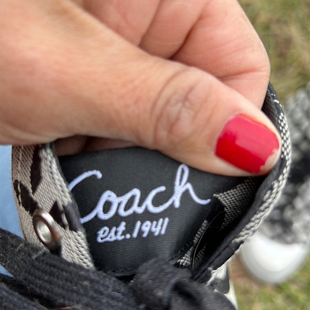 Coach Cardinal Sneakers Ivory/Black Sz 9.5 M NIB - Picture 5 of 5